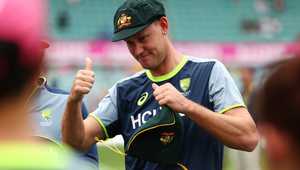 在球迷和专 在球迷和专